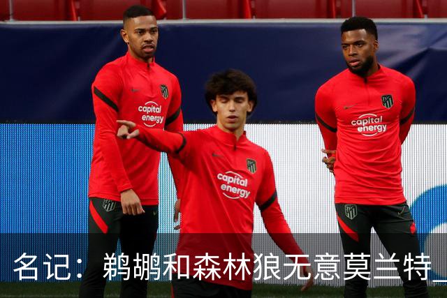 名记：鹈鹕&森林狼无意莫兰特 热火也不急于尝试其与字母哥的搭档
