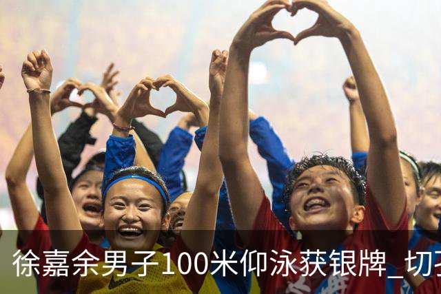 徐嘉余男子100米仰泳获银牌 切孔夺金