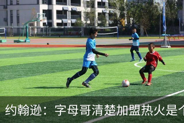 约翰逊：字母哥清楚加盟热火是个新机会 他希望被严格执教