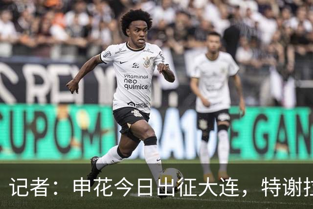 记者：申花今日出征大连，特谢拉、米内罗、李可因伤无法出战