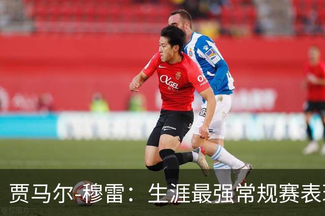 贾马尔-穆雷：生涯最强常规赛表现（球员赛季分析）常规赛篇