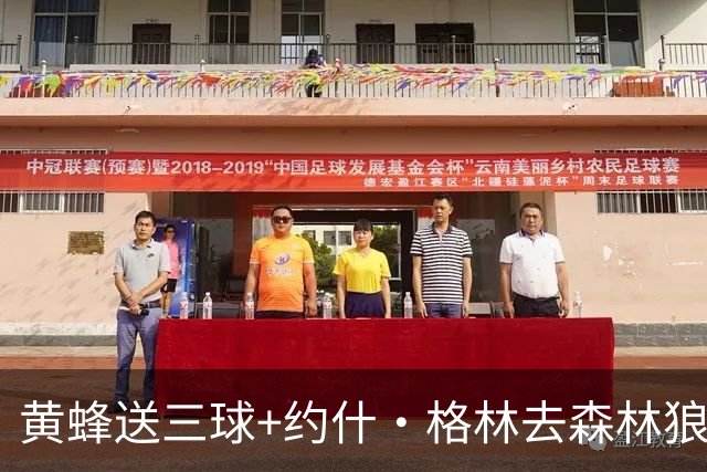黄蜂送三球+约什·格林去森林狼 换里德+1首轮+3互换+3次轮