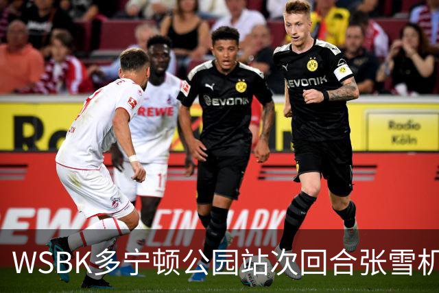 WSBK多宁顿公园站次回合张雪机车第十 德比斯车手榜第二